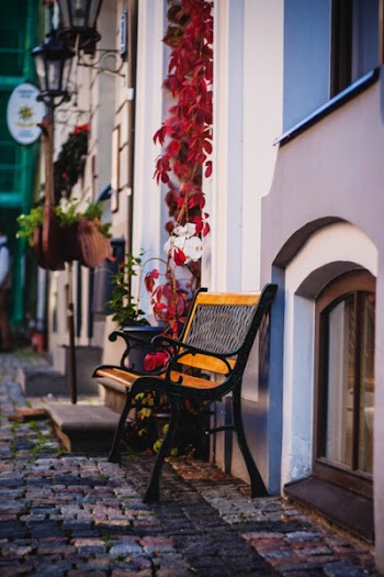 Free Photo of still, items, things