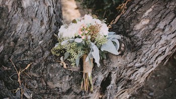 Free Photo of still, items, things