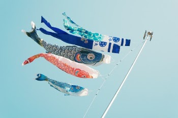 Free Photo of still, items, things