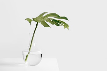 Free Photo of still, items, things