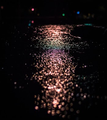 Free Photo of still, water, puddle