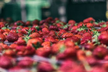 Free Photo of strawberry, food, crops