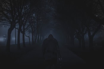 Free Photo of street, road, trees