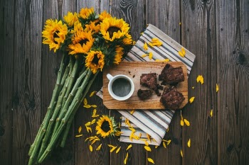 Free Photo of sunflower, coffee, drink