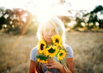 Free Photo of sunflower, yellow, petal