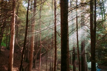 Free Photo of sunlight, sunshine, sunrise