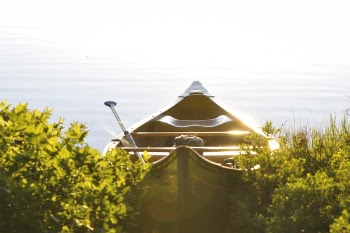 Free Photo of sunny, lake, water