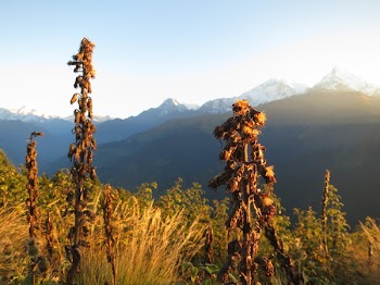 Free Photo of sunrise, dawn, mountains