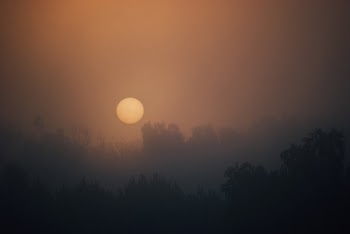 Free Photo of sunrise, morning, dawn