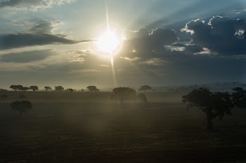 Free Photo of sunrise, morning, landscape