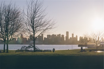 Free Photo of sunrise, park, grass