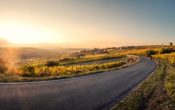 Free Photo of sunrise, sunlight, sunshine
