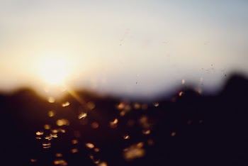 Free Photo of sunset, bokeh, dandelion