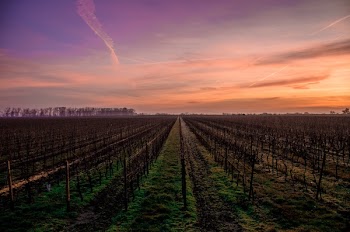 Free Photo of sunset, dusk, sky
