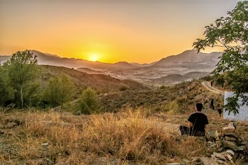 Free Photo of sunset, landscape, tree
