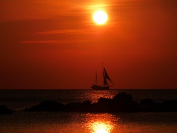 Free Photo of sunset, sailboat, water