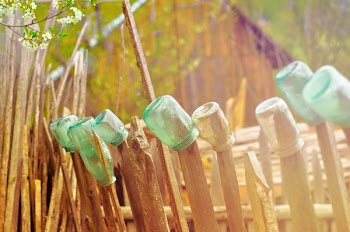 Free Photo of sunshine, picket fence, mason jars