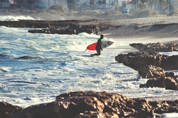 Free Photo of surfer, surfboard, surfing