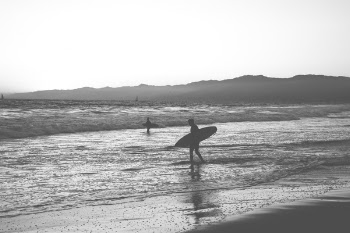 Free Photo of surfing, surfer, surfboard
