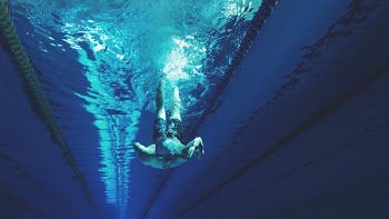 Free Photo of swimming, diving, water
