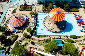 Free Photo of swimming, pool, blue