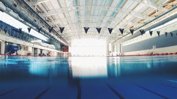 Free Photo of swimming, pool, sport