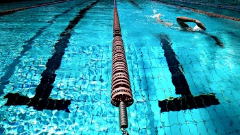 Free Photo of swimming, pool, water