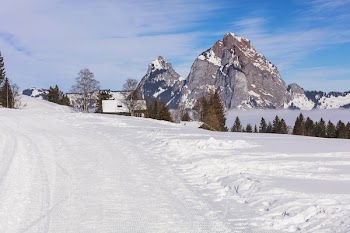 Free Photo of Switzerland, Stoos, village