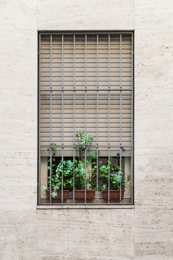 Free Photo of symmetry, aesthetics, windows