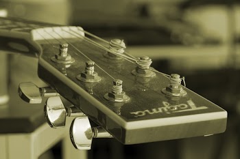 Free Photo of tagima, guitar, instrument