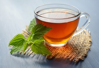 Free Photo of tea, herbal tea, nettle