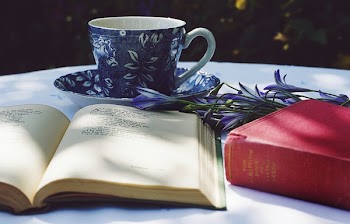 Free Photo of teacup, teacups, drinks