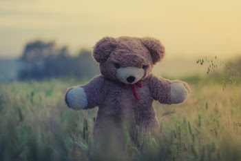 Free Photo of teddy bear, toy, child