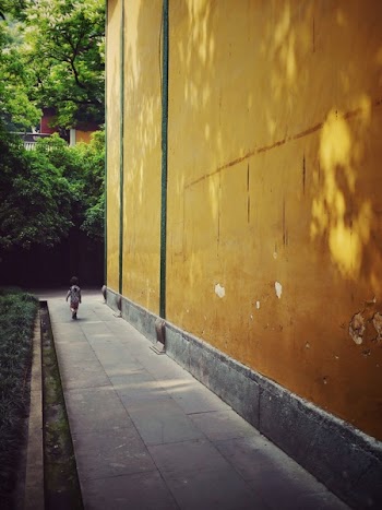 Free Photo of temple, wall, walk
