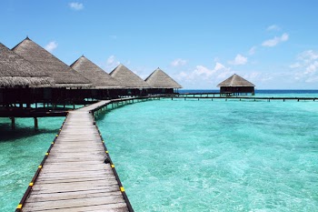 Free Photo of tiki huts, tropical, paradise