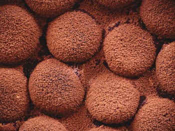 Free Photo of tiramisu, dessert, cake