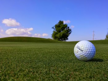 Free Photo of Titleist, golf, ball