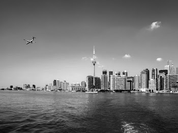 Free Photo of Toronto, city, downtown
