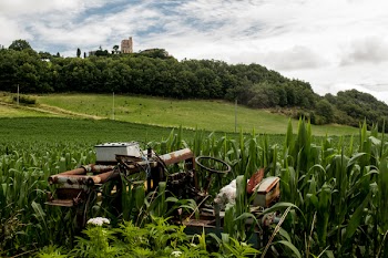 Free Photo of tractor, broken, rust