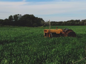 Free Photo of tractor, farm, grass