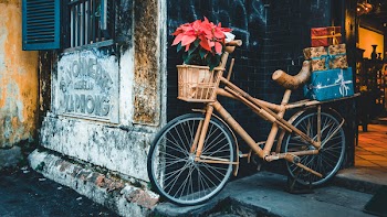 Free Photo of transportation, bicycle, wood