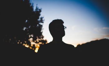 Free Photo of tree, dark, people