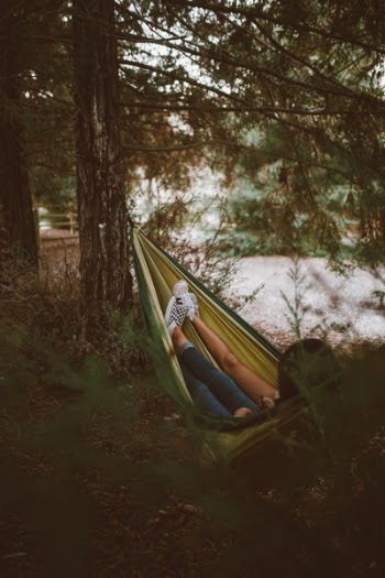 Free Photo of tree, grass, plant