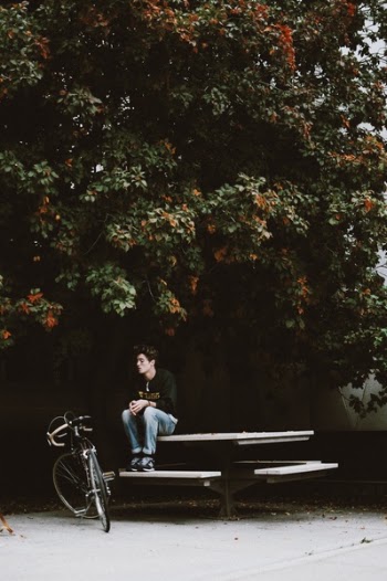 Free Photo of tree, plant, outside