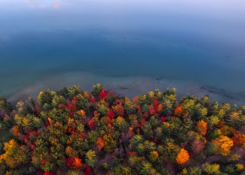 Free Photo of trees, clolorful, aerial