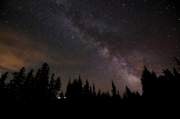 Free Photo of trees, dark, night