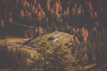 Free Photo of trees, house, vacation