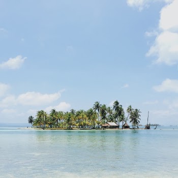 Free Photo of trees, ocean, sea