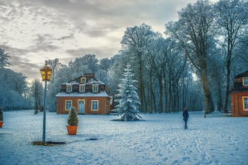Free Photo of trees, plant, house