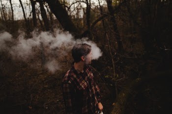 Free Photo of trees, plant, nature